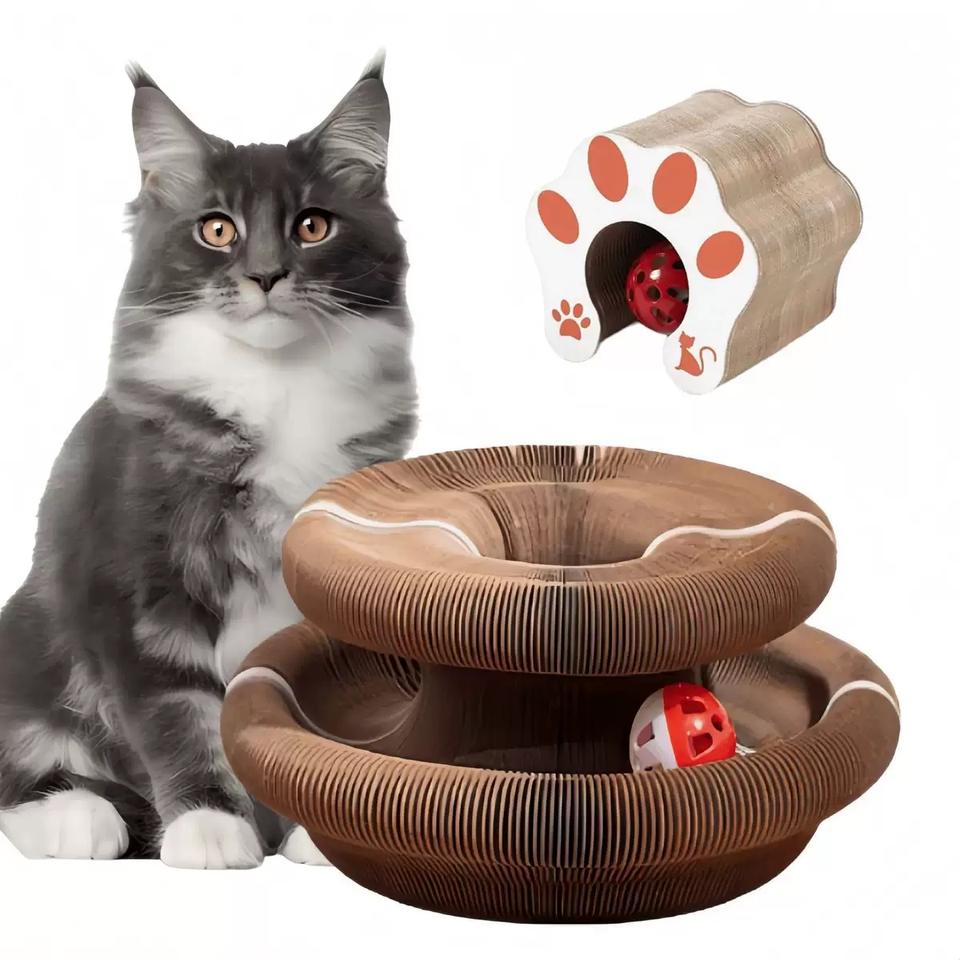 Interactive Magic Organ Cat Scratcher Toy